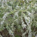 동래원예고등학교 이미지