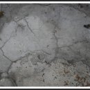 용당1동주민센터 이미지