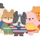 군산문화협동조합 로컬아이 이미지