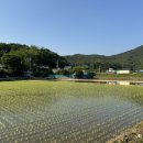 부윤2리 어촌체험마을 네이버블로그