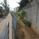 01-25 동구 네이버블로그