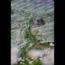 주)용평리조트 드래곤프라자 | 평창 대관령 숙소 리조트 캠핑 추천 용평리조트드래곤플라자 용평리조트드래곤플라자, 친절함이...