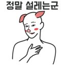 디엠인테리어 - 상주시 배실길 43-26 | 디엠인테리어