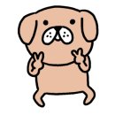 스마일애견미용 이미지