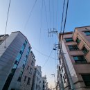 (주)엔랩소프트 | 안산피규어학원, 나만의 캐릭터를 만들어 본 후기