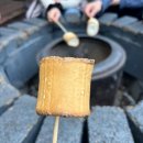 한마음펫 | [국내/경기도] 광명 | 글램핑하며 즐기는 솥뚜껑 삼겹살 ‘한마음 정육식당’ 솔직후기