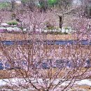 선학농장 이미지