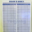 요아정 별내로데오점