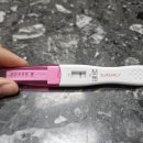 천안희망병원 | [임신]임신테스트기 두줄 확인, 임신 극초기증상, 천안 삼성미즈병원 후기