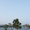 미음나루음식문화특화거리 이미지