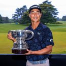 페리서가 이미지