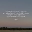 더마음모리 이미지