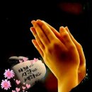 973 Daum카페
