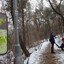 우면산3-15 이미지