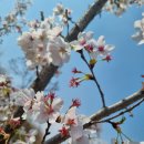 의료법인삼산의료재단 삼산병원 이미지