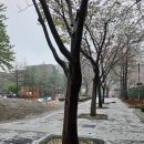 팔달어린이공원 이미지