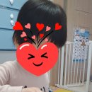 레인보우 토스트 이미지