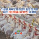 원규농장 이미지