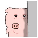 족발야시장 속초교동점 이미지