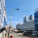 세화연합정형외과의원 이미지