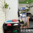 유은정헤어