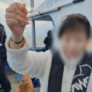 제주배낚시 후기 부영호 형제섬2시간체험배낚시 행복했어요