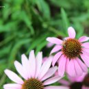 벌막공원 이미지