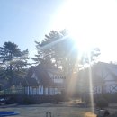 멍멍플레이스펜션 | 제주도 애견동반숙소 애월펜션 멍멍플레이스