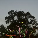 백부장집 2호점 이미지