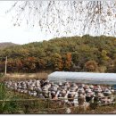 도열농장 이미지