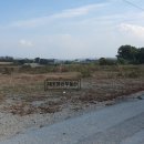 삽교역공인중개사사무소 이미지