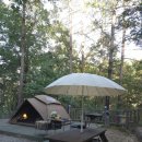 국립화천숲속야영장 | 아이와 함께, 화천숲속야영장에서 즐긴 자연속 캠핑ㅣ이용팁 반려견데크 등 정보