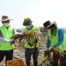 김동훈 농장 이미지