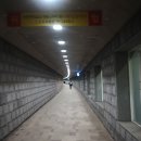 동원종묘