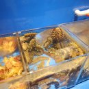 랍스터포차 이미지