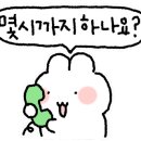 바미스튜디오 이미지