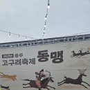 탁본헤어 | [충주여행] 제3회 고구려 동맹 축제 참여 후기, 다녀 본 행사 중 체험 및 구성 최고! (강력추천 해요)