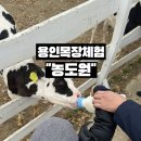 원양로 | 용인가볼만한곳 예약하기 힘든 목장체험의 넘버원! 농도원목장체험 솔직 후기
