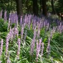 수봉자연학습원 이미지