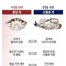 츄릅아이스 | 간장게장 택배 맛집 꿀배네 간장게장 내돈내산 쇼핑 라이브 솔직 후기