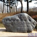 둔산 선사유적지 이미지