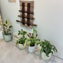 GS선화드림점 이미지