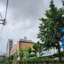 새로이밥상 이미지