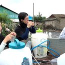 은영농장 이미지