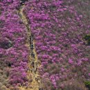 용인 산과 사람들 산악회 제54차 산행공지 이미지