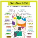 천년거북 희상 이미지