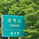 천상의 화원을 걷다! 두문동재~분주령 야생화 트레킹 다녀왔어요!