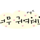 쌍문경희태권도 이미지