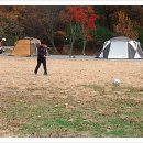 미르오토 이미지