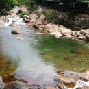 광양사슴농장 이미지